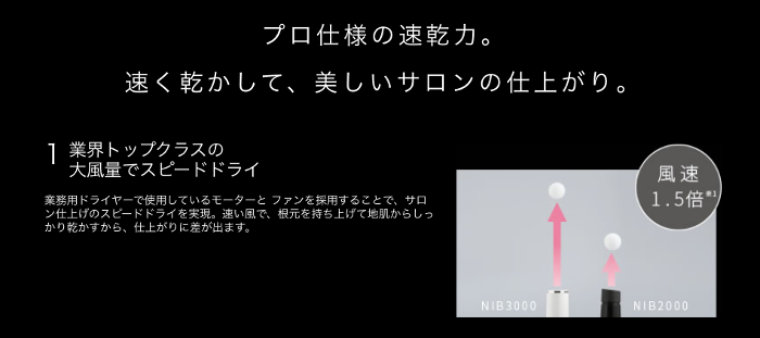 ノビーバイテスコム NIB3000